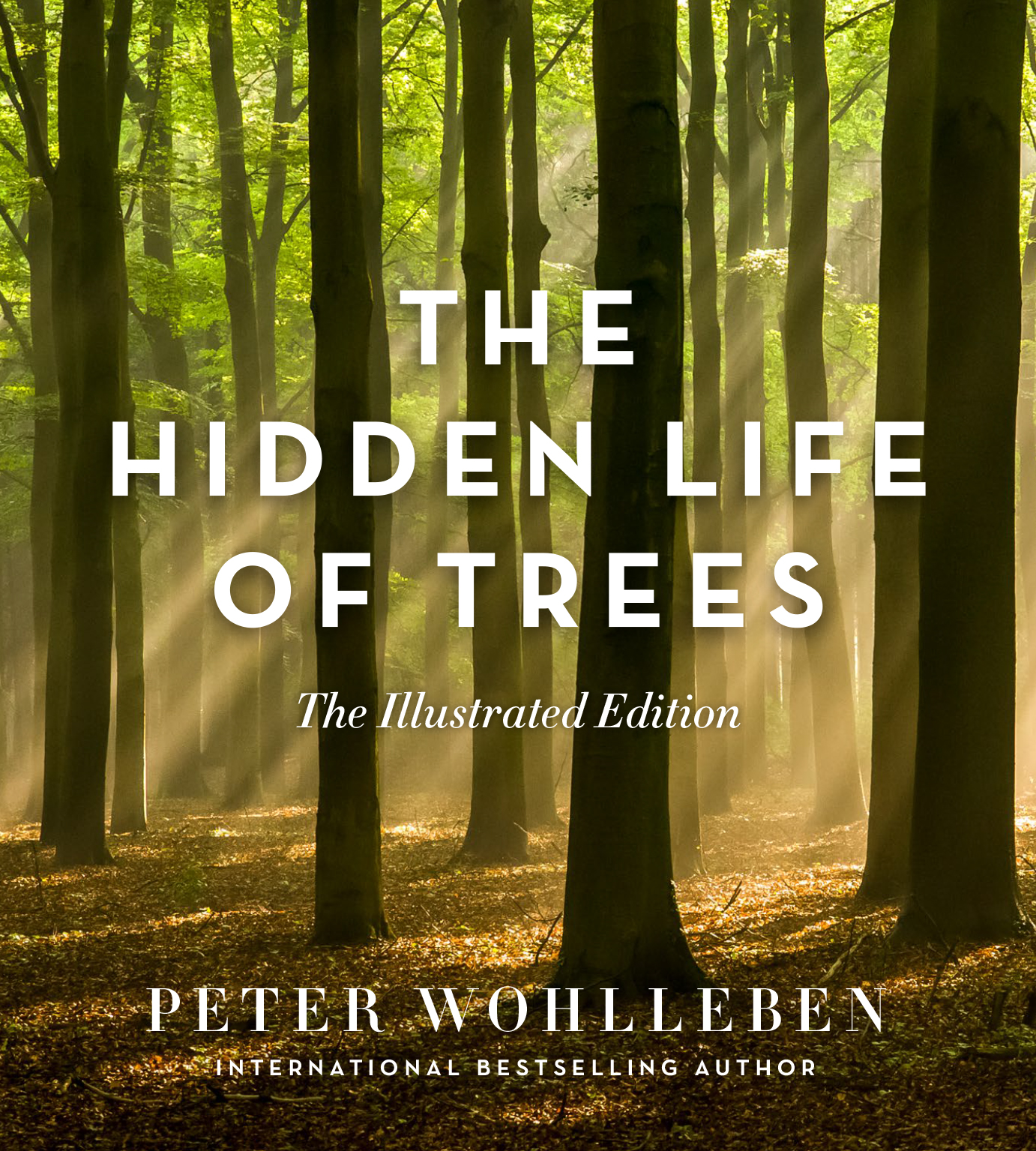 The Hidden Life of Trees by Peter Wohlleben Black Inc.